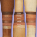 Tarte Amazonian Clay Power Bar Eyeshadow Palette